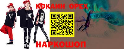 крисы Можга