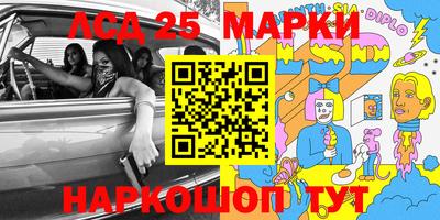 крисы Можга