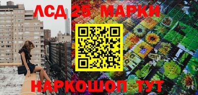 крисы Можга