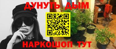 крисы Можга
