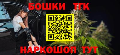 крисы Можга