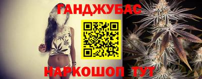 крисы Можга
