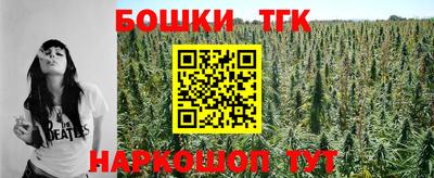 крисы Можга
