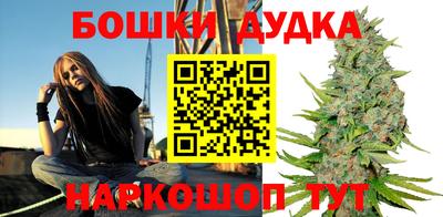 крисы Можга