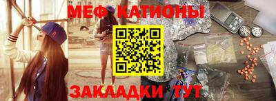 крисы Можга