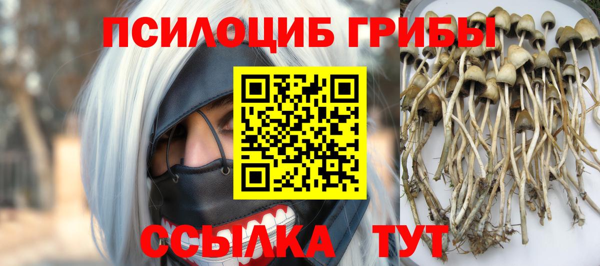 Псилоцибиновые грибы MAGIC MUSHROOMS  Псилоцибиновые грибы Magic Shrooms  где купить наркотик  Шелехов  Вход с VPN 