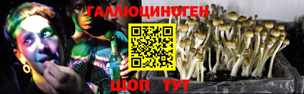 Галлюциногенные грибы мухоморы Шелехов
